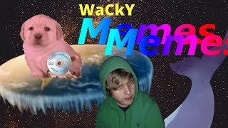 Wack memes that cure depression 3