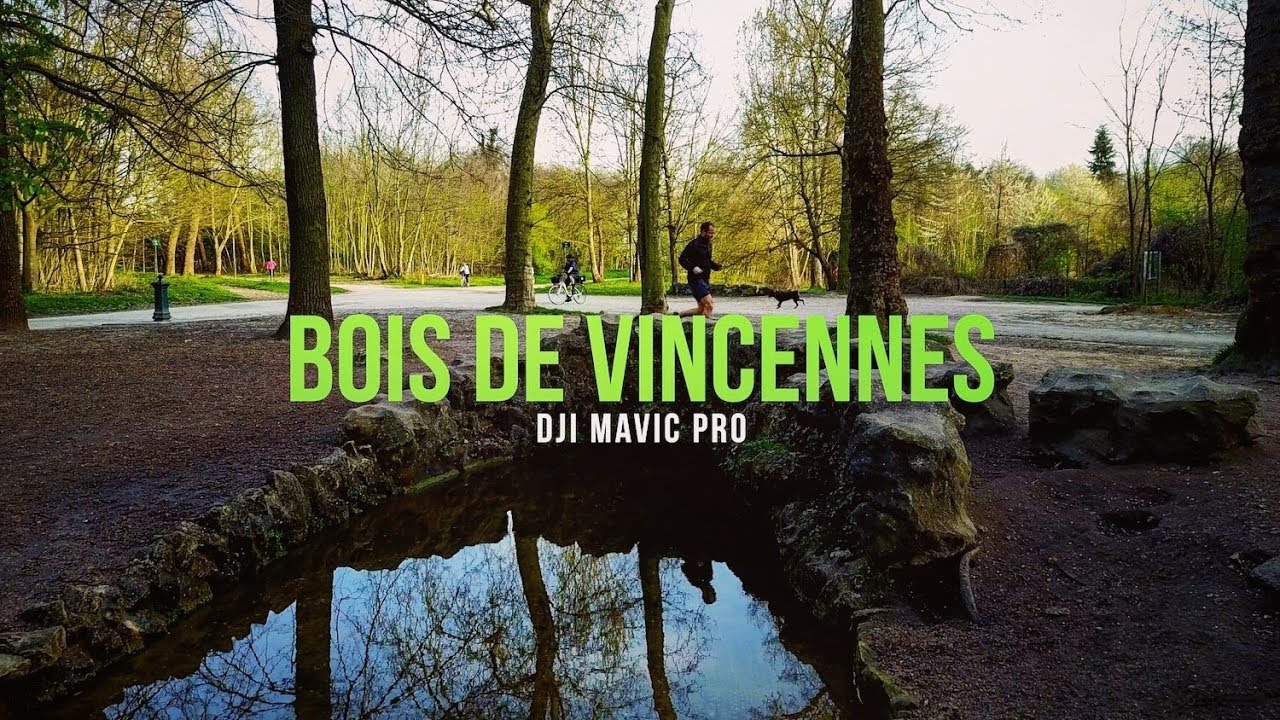 Bois de Vincennes - DJI Mavic Pro 4K
