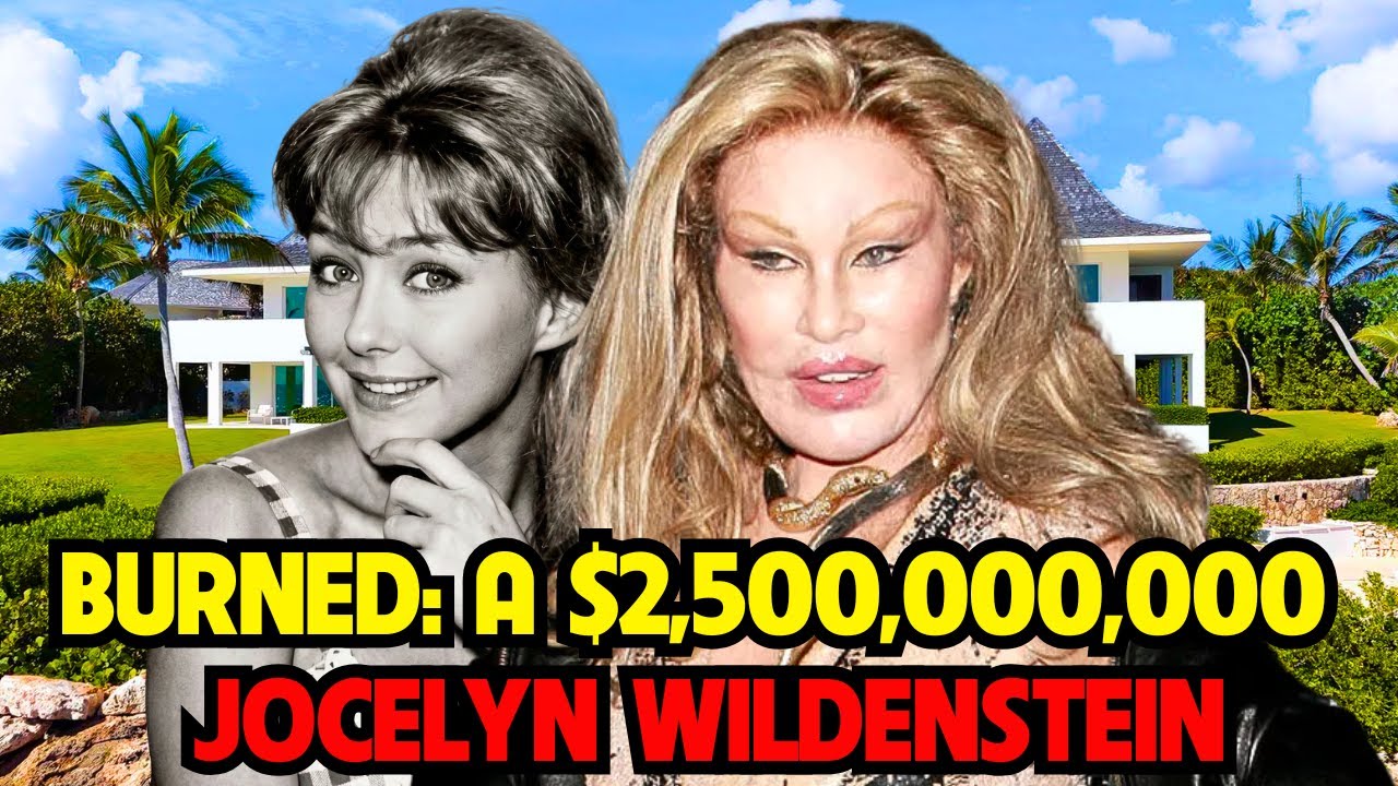 EVAPORATING $2,500,000,000 Jocelyn Wildenstein Burned a Dynasty for a Mask