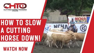 How To Slow A Cutting Horse Down! screenshot 1