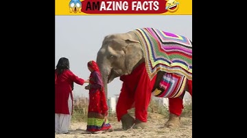 Amazing facts|#shorts#viral#trendingshorts#amazingfacts#100millionsviews#100k#10kviews#indian