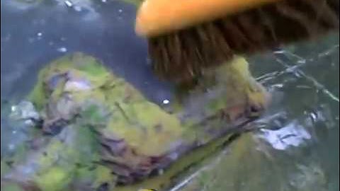 modelRRscenery.com - Painting and Planting Part 2.avi