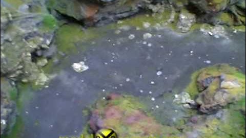 modelRRscenery.com - Painting and Planting Part 2.avi