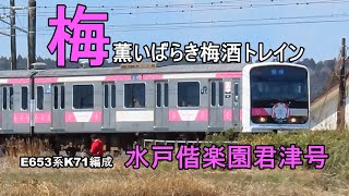 【E501系で梅酒？】E653系K71編成 水戸偕楽園君津号、E501系K754編成 SAKIGAKE 茨城の梅酒と食を楽しむ旅「梅薫るいばらき梅酒トレイン」