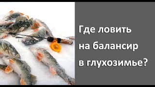 Где ловить в глухозимье на балансир? Зимняя рыбалка на нижней Волге! Где ловить в глухозимье на балансир? Зимняя рыбалка на нижней Волге!