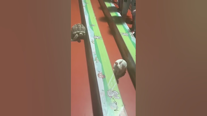 寓言故事是真的，現實版“龜兔賽跑”！所以，認準目標，心無旁鶩一路向前吧！