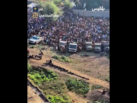 سوق الحصين يشهد ازدحاما كثيفا من أجل شراء الأضاحي