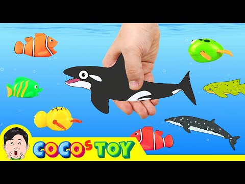 Let&amp;#39;s <strong>catch</strong> whales and sharks in streamsㅣcartoon version, <strong>sea</strong> animal names and soundsㅣCoCosToy