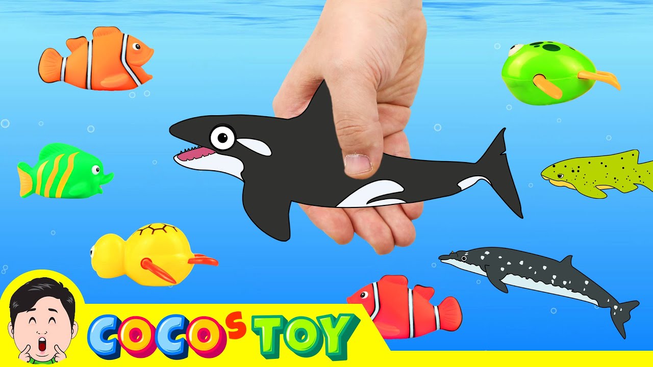 Let's catch whales and sharks in streamsㅣcartoon version