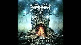 Borknagar - The Rhymes Of The Mountain