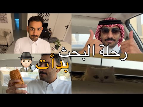  14 رحلتي في البحث عن وظيفة بداية جديدة وأمل كبير