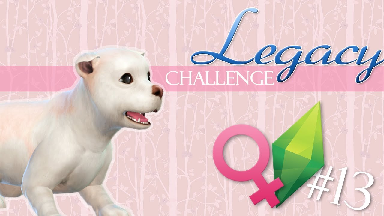 Challenge Création Chien Ghost Sims 4 Chiens Et Chats