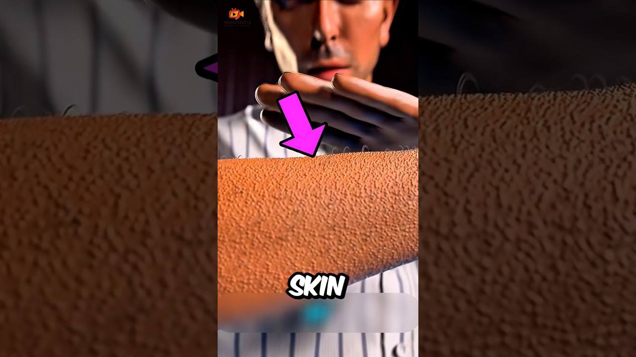 What Really Causes Goosebumps?