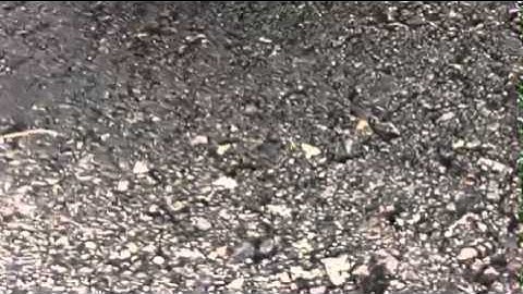 TSI Tensioner Chain Startup Rattle