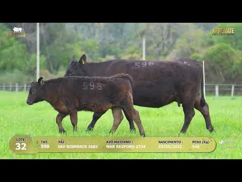 LOTE 032