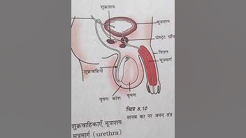 Biology ka manav ka janna tant