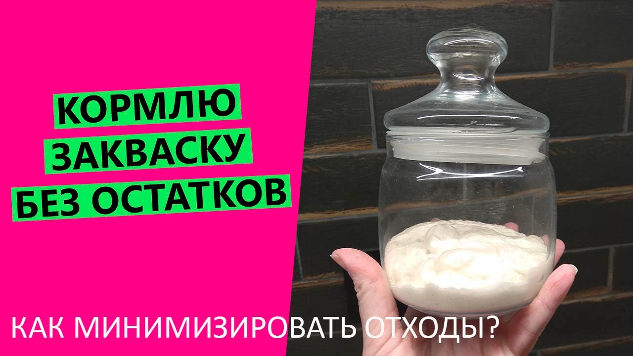 Почему нельзя кормить уток хлебом? Почему нельзя кормить уток хлебом?