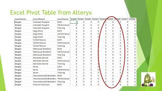 Alteryx App Using Transpose to Select Columns