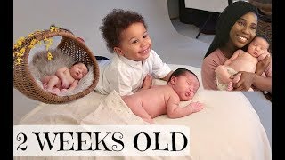 CUTEST NEWBORN BABY PHOTOSHOOT AT 2 WEEKS OLD | AdannaDavid