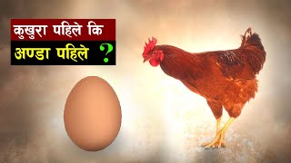 के हार्ड ड्राइभमा डाटा भर्दा तौल बढ्छ ? | Chicken came first or egg.