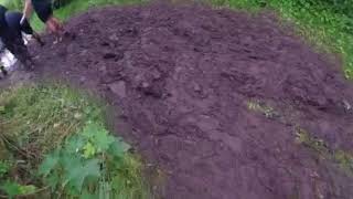 Wolf Run Summer 2018