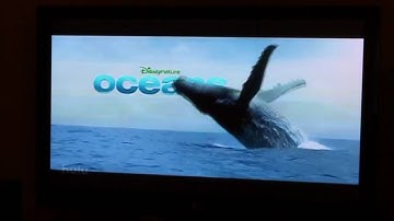 Installing PlayOn Digital Media Server Software