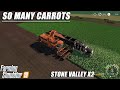 SMALLISH FIELD LARGE HARVEST (CARROTS ROCK) |STONE VALLEY X2| FARMING SIMULATOR 19, LETS PLAY EP #12