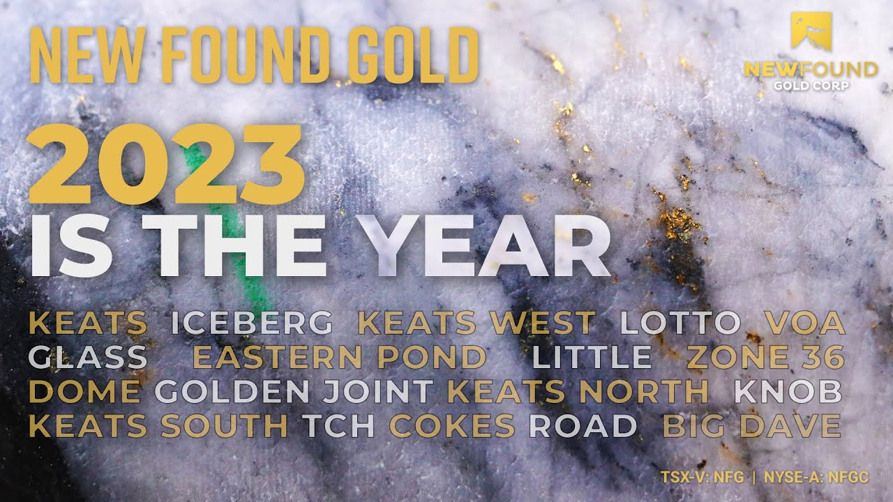 new-found-gold-2023-is-the-year-tsx-v-nfg-nyse-a-nfgc-commercial