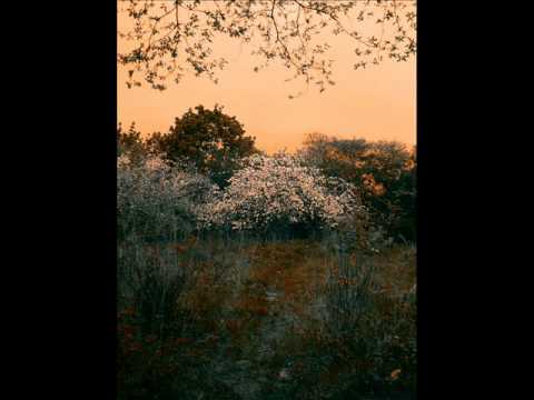 Held Der Arbeit — Held Der Arbeit - Mutterkuss (2012)