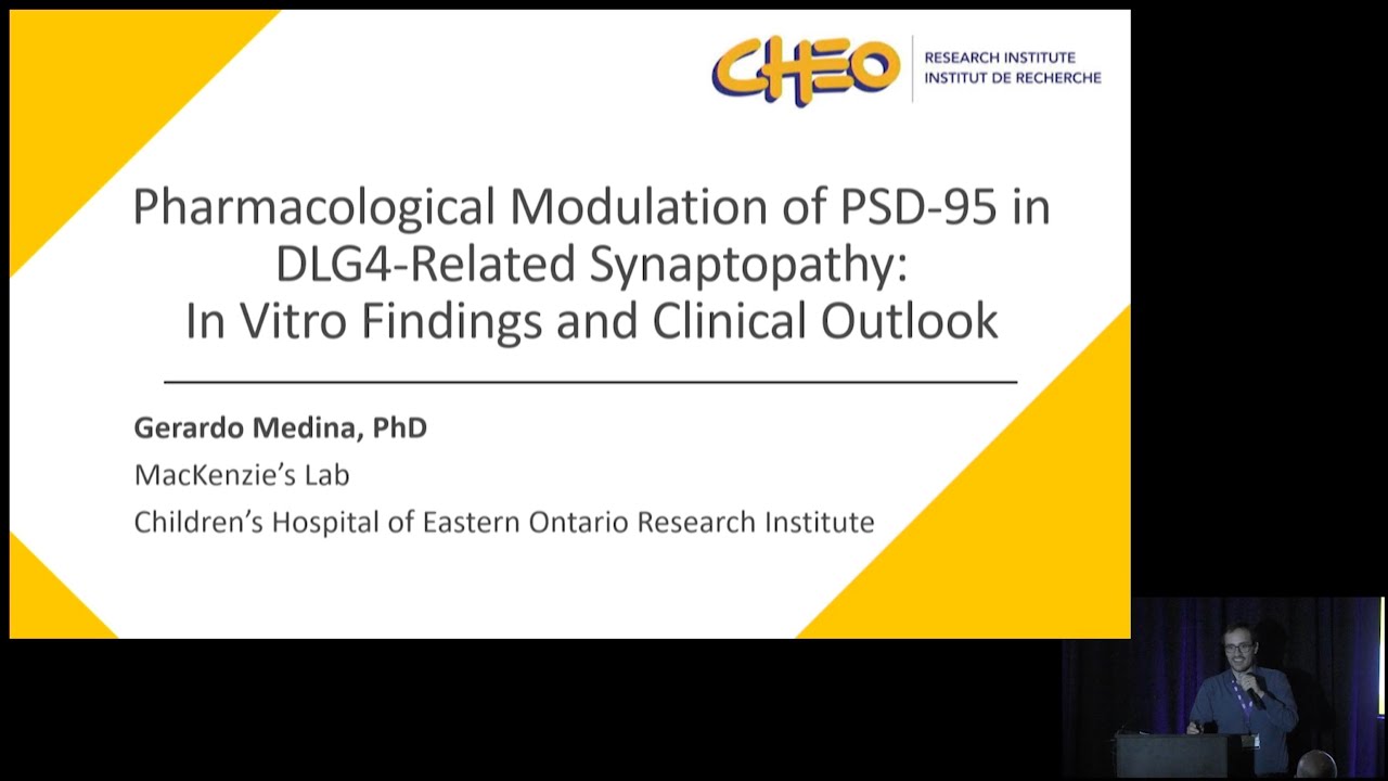 Restoring Synaptic Integrity in SHINE Syndrome: Insights from a Targeted Drug Repurposing Screen