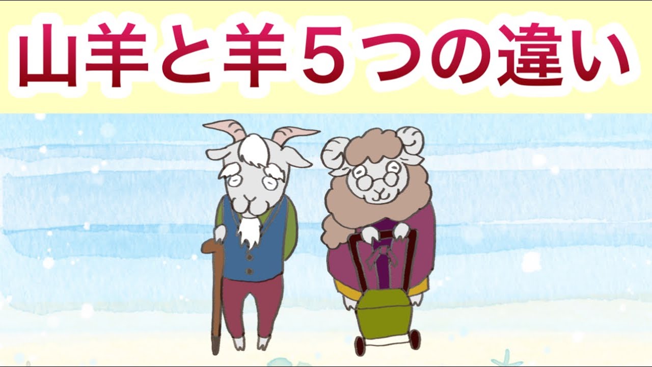 ヤギ と 羊 の 違い