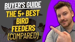 TOP 5 BEST BIRD FEEDERS  Best Bird Feeder Review (2023)
