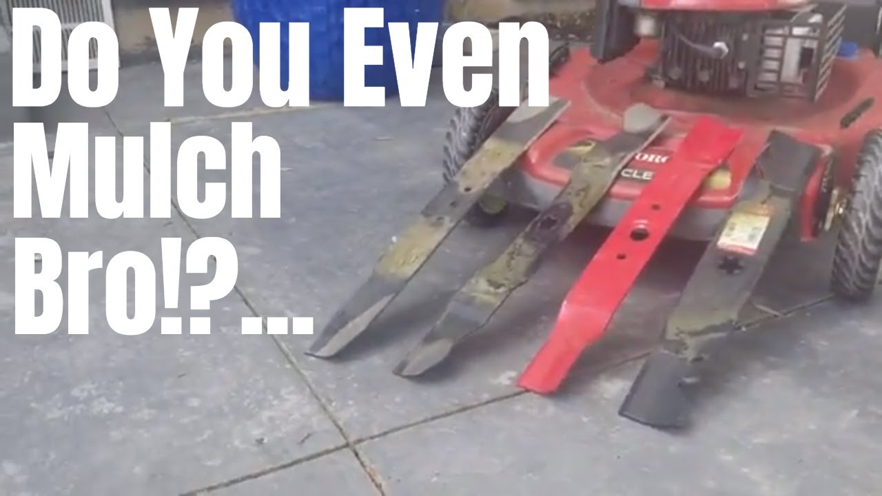 should you bag your grass clippings should you bag your grass clippings
