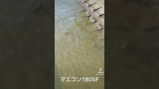 BABATube【マエコン180SF】マエコンダンス