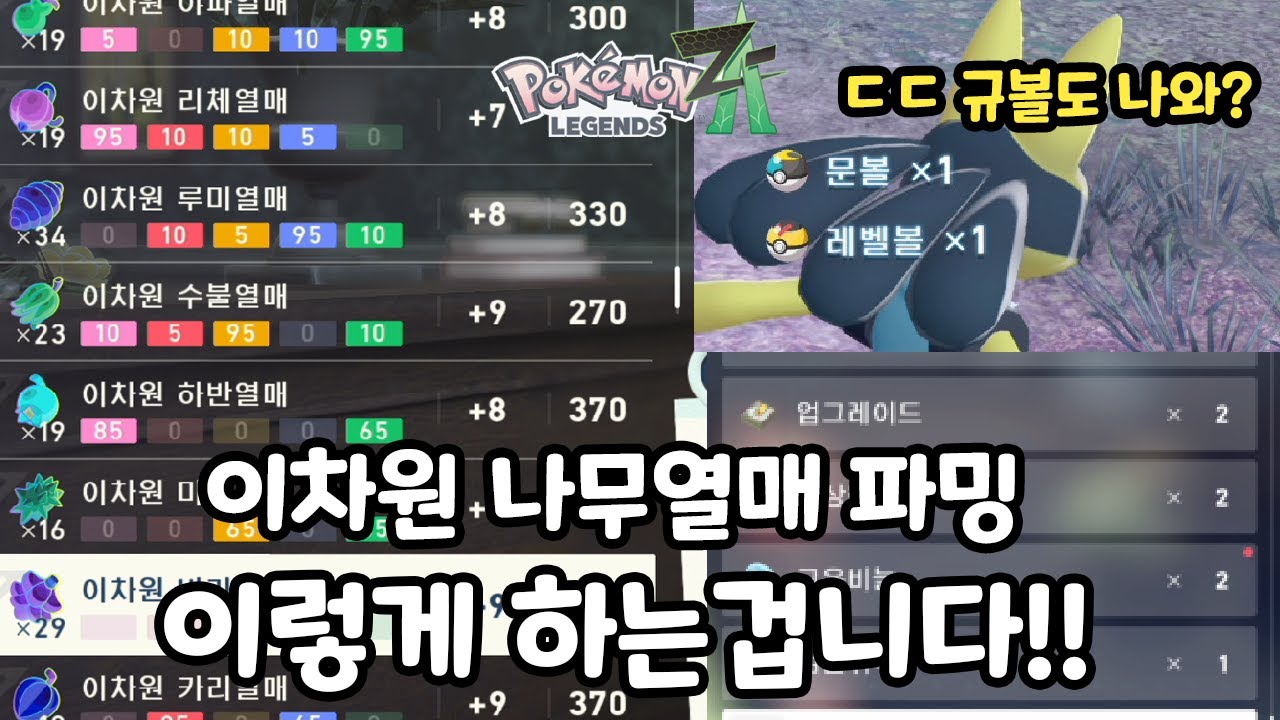 이차원 나무열매 파밍 하는 방법!! (각종 규볼 진화재료 가능) [포켓몬 레전즈 ZA]