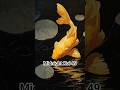 Midnight Koi 49#koi #fish #meditationmusic #koifish #calm #relax #art #shorts