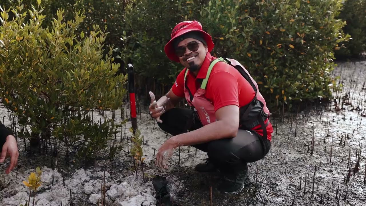 Mangrove Kayaking and Tree Planting