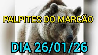 PALPITES DO MARCÃO DIA 26/01/26 (DIA TODO)@canaldomarcao1969 
