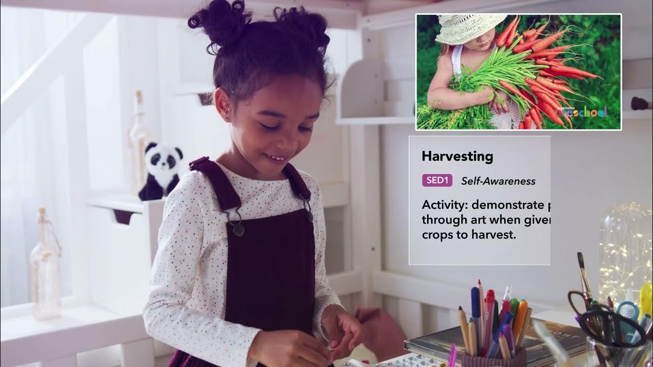 Introducing Experience Curriculum in brightwheel YouTube