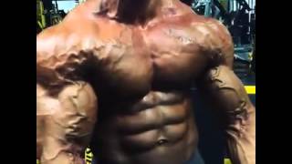 Biceps Curl With Johan Fehd Karouani