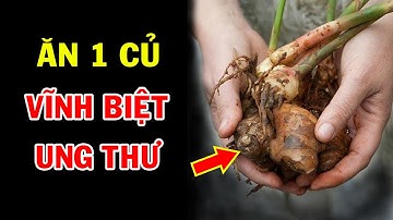 Tận Diệt 8 Loại Bệnh Ung Thư, Vĩnh Biệt Dạ Dày Và Xương Khớp Chỉ Với Loại Củ Rẻ Tiền Này