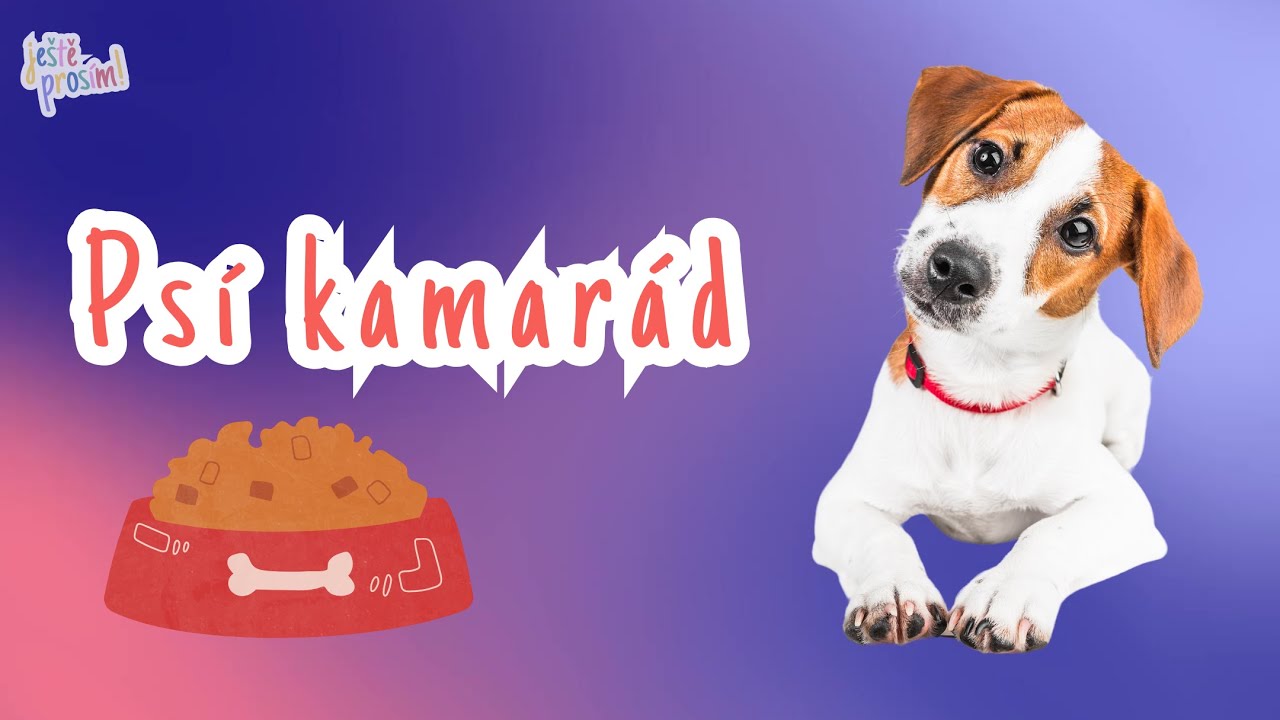 Psí kamarád | Písničky pro malé děti | Zvířátka | Pejsek