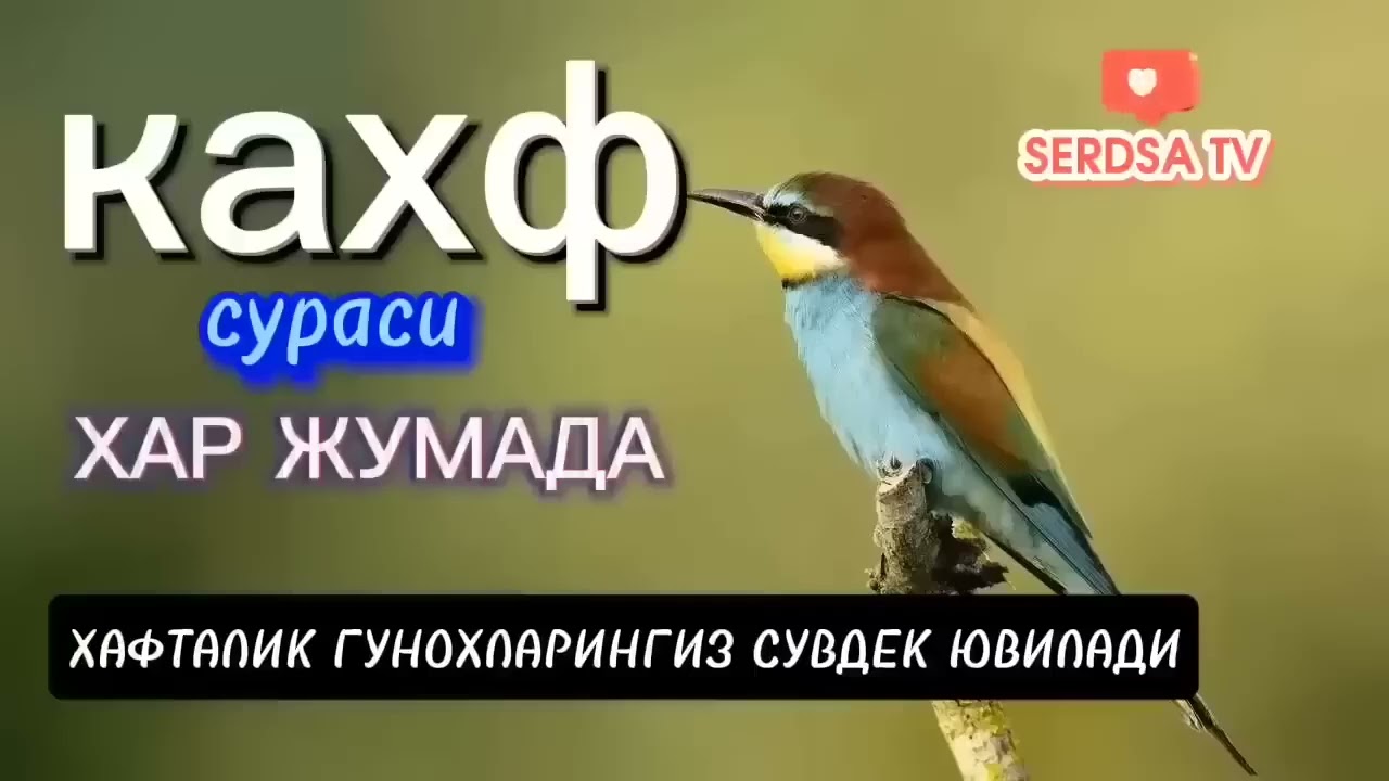 ЖУМА КУНИДА КАХФ СУРАСИНИ ТИНГЛАНГ ИККИ ЖУМА ОРАСИДАГИ ГУНОХЛАР КЕЧИРИЛАДИ.