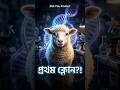 Did You Know? ১৯৯৬-এর “ডলি”—প্রথম ক্লোনড ম্যামেল?! 🐑😱