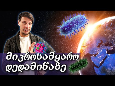 🦠საშიში მიკროსამყარო დედამიწაზე🔬🌍