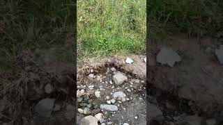 Gold panning the feather river in Oroville California