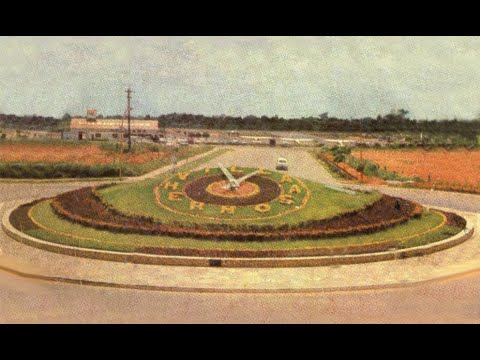 Shishitos de Historia | El Reloj Floral