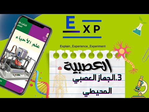 الجهاز العصبي المحيطي 3 المسلك الودي مقارنات بين الودي ونظير الودي هاااام