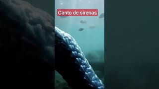 Canto De Sirenas