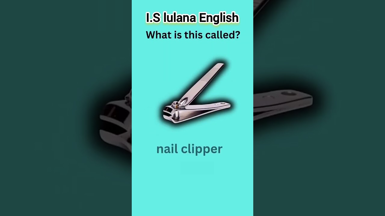 ⁣What is this called in English? || #english #@Vocablab50k